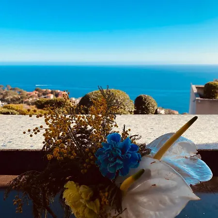 Sunny Costa Plana-monaco -cap D'ail