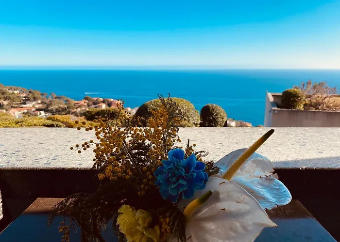 Sunny Costa Plana-monaco -cap D'ail